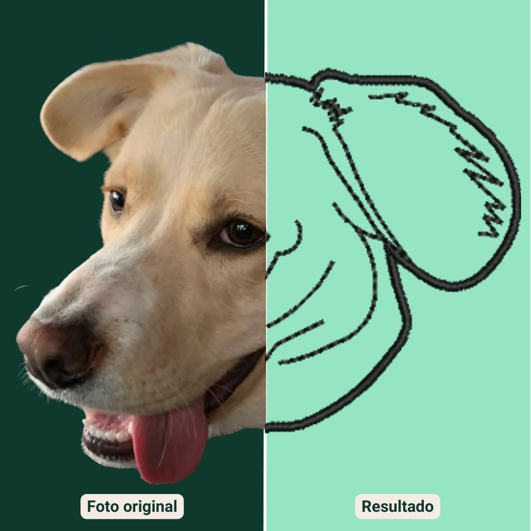 Hoodie con 3 mascota bordada lineal
