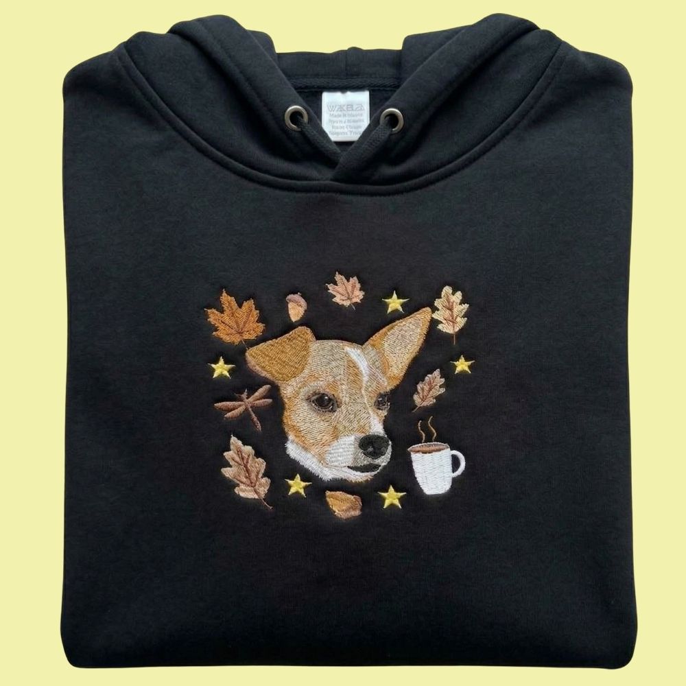 Hoodie Edición Otoño con 1 regalón bordado