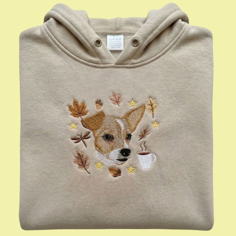 Hoodie Edición Otoño con 1 regalón bordado