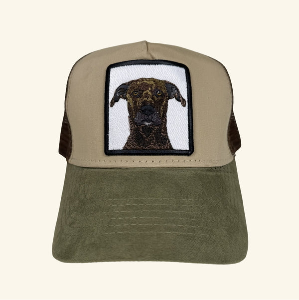 Jockey beige con retrato de mascota bordada