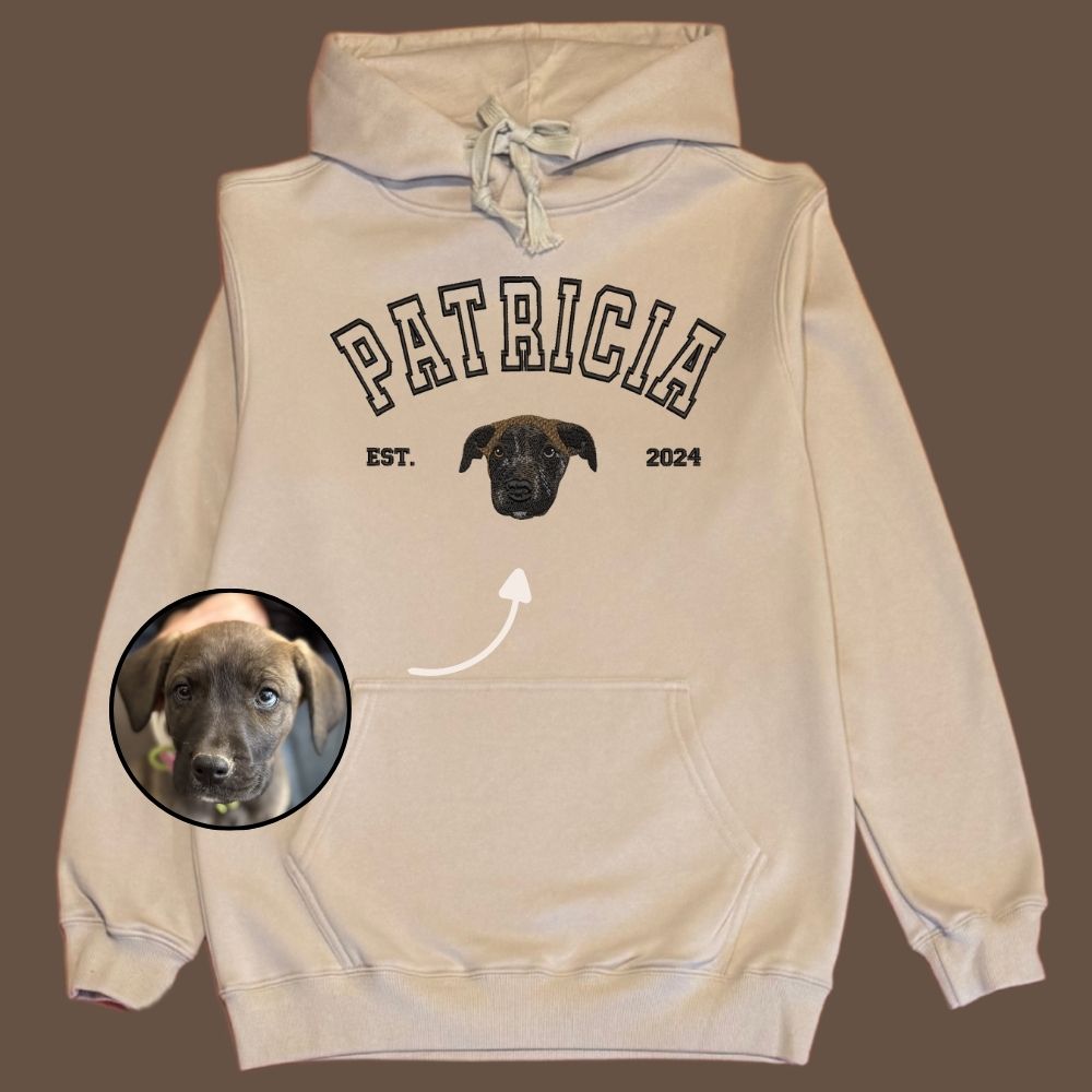 Hoodie estilo college con 1 regalón bordado