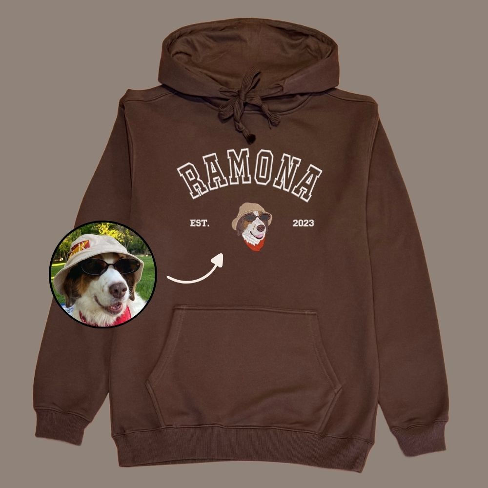 Hoodie estilo college con 1 regalón bordado
