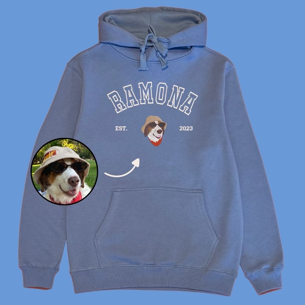 Hoodie estilo college con 1 regalón bordado