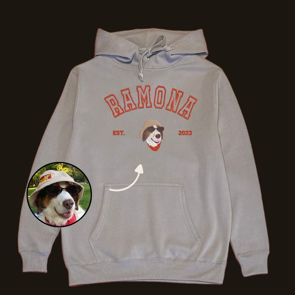 Hoodie estilo college con 1 regalón bordado