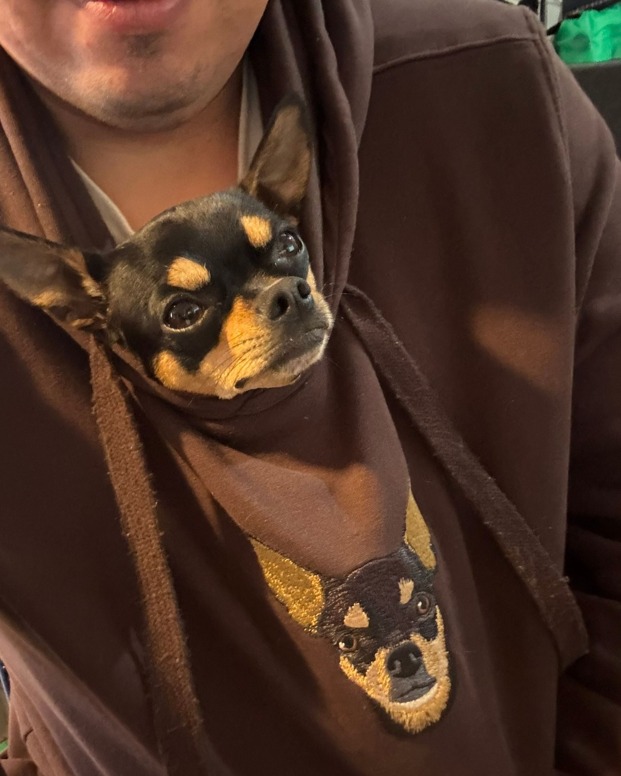 Hoodie con 1 mascota bordada