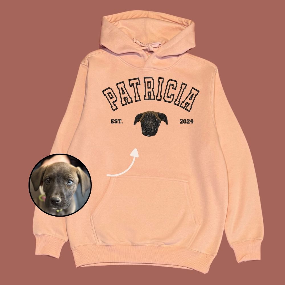 Hoodie estilo college con 1 regalón bordado