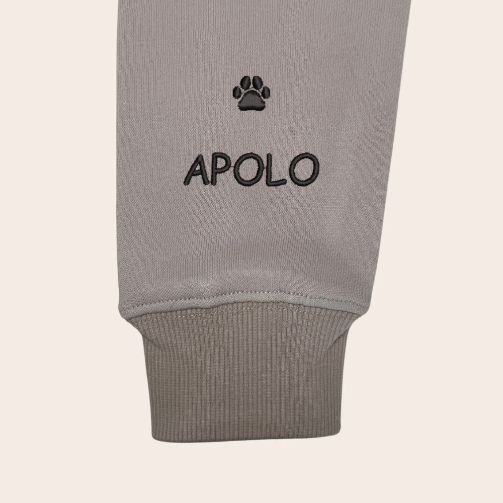 Nombre de tu regalón en Manga