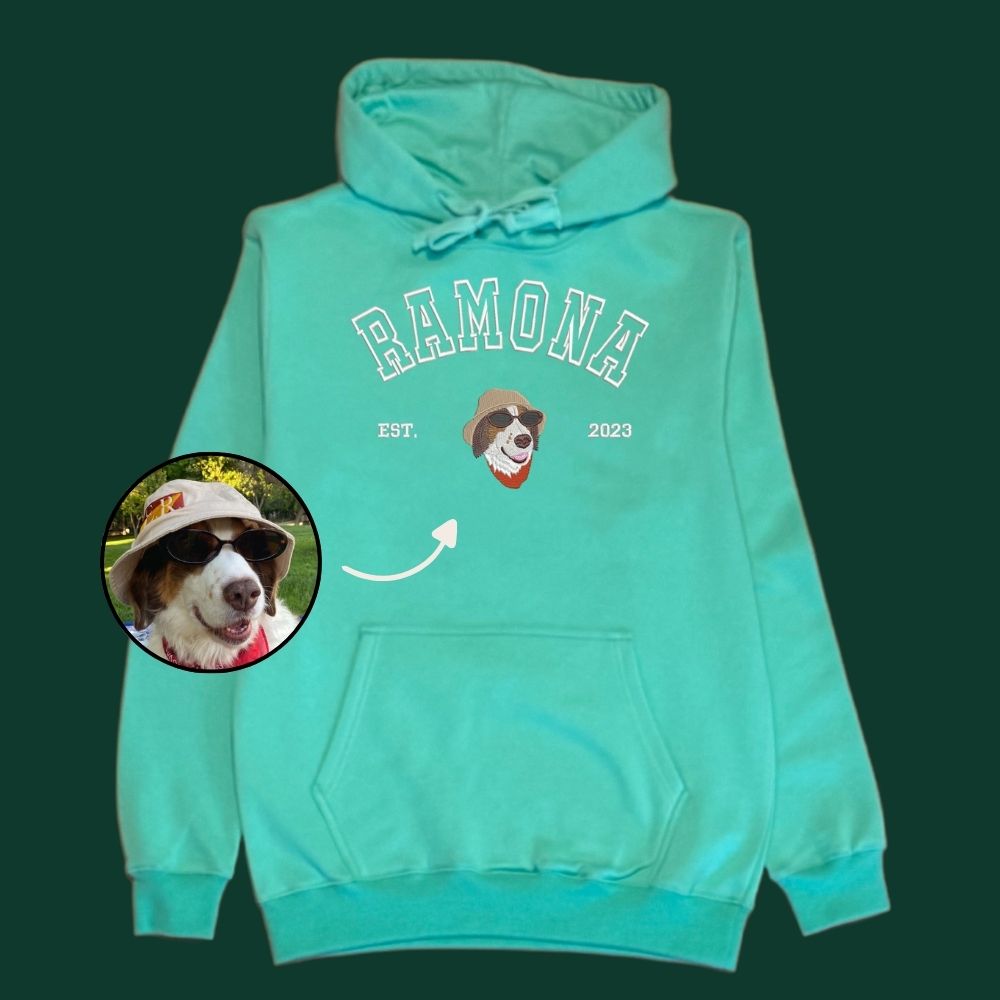 Hoodie estilo college con 1 regalón bordado
